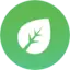 type icon go