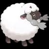 Pokemon Wooloo Image