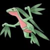 Pokemon Grovyle Image