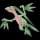 pokemon image