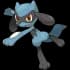 Riolu Pokemon Image