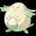 Pokemon Small Shiny Image for Default Form
