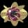 Pokemon Small Shiny Image for Default Form