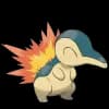 Pokemon Cyndaquil Image