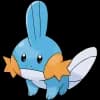 Pokemon Mudkip Image