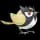 Pokemon Small Shiny Image for Default Form