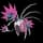 Pokemon Small Shiny Image for Default Form