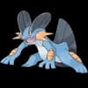 Pokemon Swampert Image