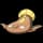 pokemon image