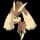 pokemon image