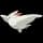 Pokemon Small Shiny Image for Default Form