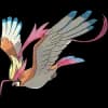 Pokemon Pidgeot Image