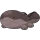 pokemon image