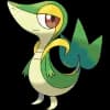 Pokemon Snivy Image