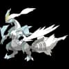 Pokemon Kyurem Image