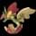 pokemon image