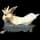 pokemon image