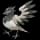 Pokemon Small Shiny Image for Default Form
