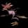 pokemon image