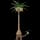 Pokemon Exeggutor - Alolan Form Image