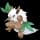 pokemon image