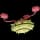 Pokemon Small Shiny Image for Default Form