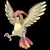 Pokemon Pidgeotto Image
