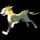 pokemon image