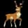 Pokemon Small Shiny Image for Spring Form