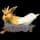 Pokemon Small Shiny Image for Default Form