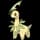 pokemon image
