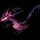 pokemon image