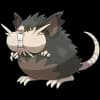 Pokemon Raticate Image