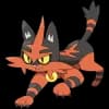 Pokemon Torracat Image