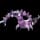 Pokemon Image for Drapion