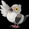 Pokemon Pidove Image