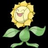 Pokemon Sunflora Image