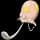 Pokemon Toedscool - Default Form Image