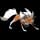 pokemon image