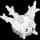 pokemon image