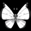 Pokemon Vivillon Image