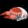 Pokemon Small Shiny Image for Default Form