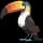 Pokemon Toucannon - Default Form Image