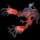pokemon image
