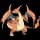 pokemon image