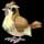 Pokemon Pidgey - Default Form Image