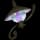 Pokemon Small Shiny Image for Default Form