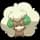 pokemon image