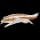 Pokemon Small Shiny Image for Default Form