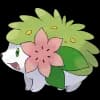 Pokemon Shaymin Image